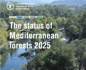 Status_med_forest_2025