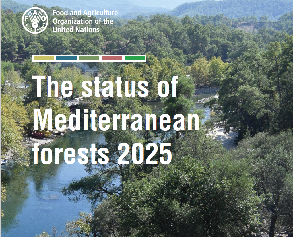 Status_med_forest_2025