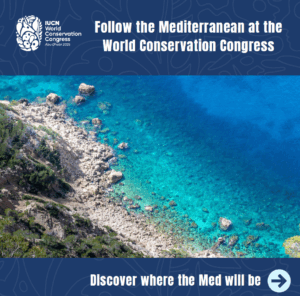 Med agenda at IUCN WCC